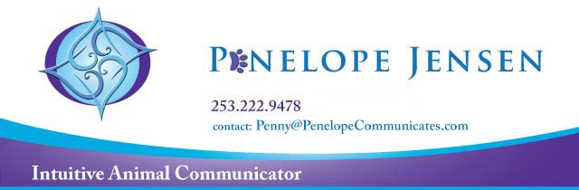 Penelope Jensen, Intuitive Animal Communicator - upper banner